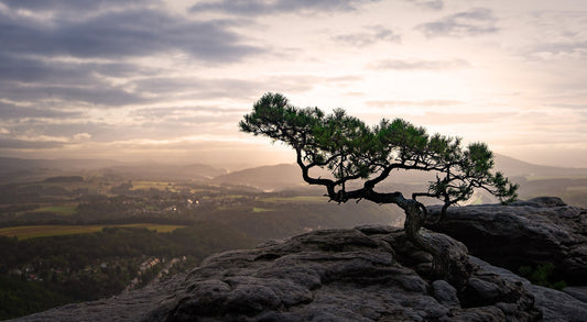Walking the Painters Way: A Hidden Gem in the Heart of Germany - Trailblaze Shirts