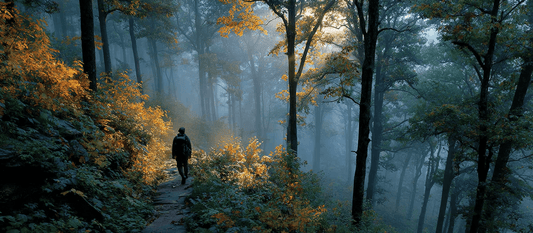 Best Hikes for Mental Health and Mindfulness - Trailblaze Shirts